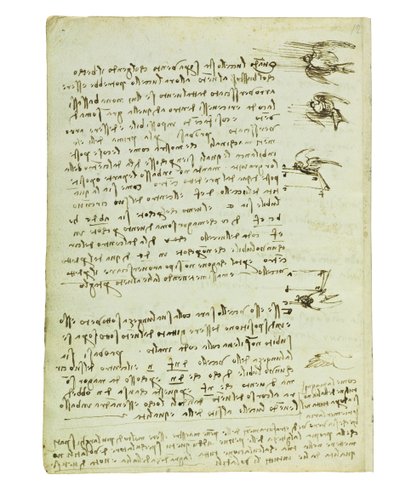 Codice sul volo degli uccelli, Folio 8 verso da Leonardo da Vinci